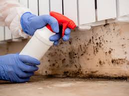 Best Comprehensive Air Testing for Mold Contaminants  in Santa Fe Springs, CA